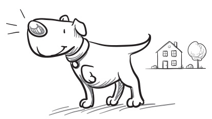 come-funziona-la-localizzazione-kippy