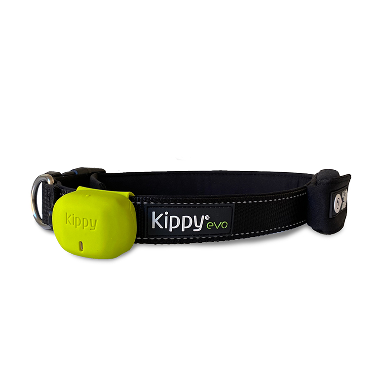 Protective Silicone Cover for Kippy EVO - green 